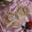 (4) Bra soft  Fabric Printed jersey bra